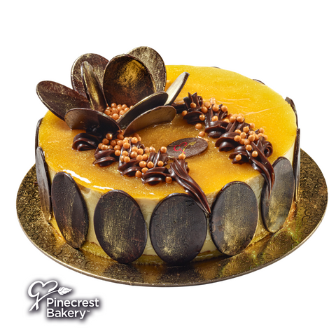 Gourmet Cake: Mango Chocolate Mousse